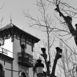 la-importancia-de-la-casa-ix-en-la-busqueda-de-significado-2